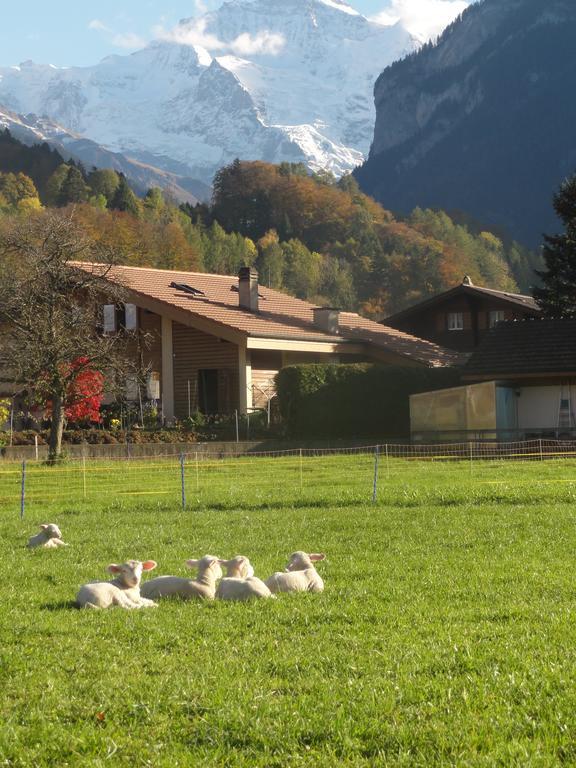 Apartment Beck Wilderswil Exterior photo